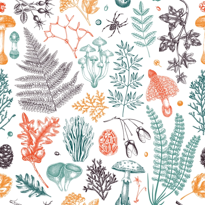 Vector seamless pattern with fern leaf, mushrooms, fall leaves and autumn plant sketches. Monochrome botanical repeating texture. Hand drawn autumn forest background. Vintage nature design in color